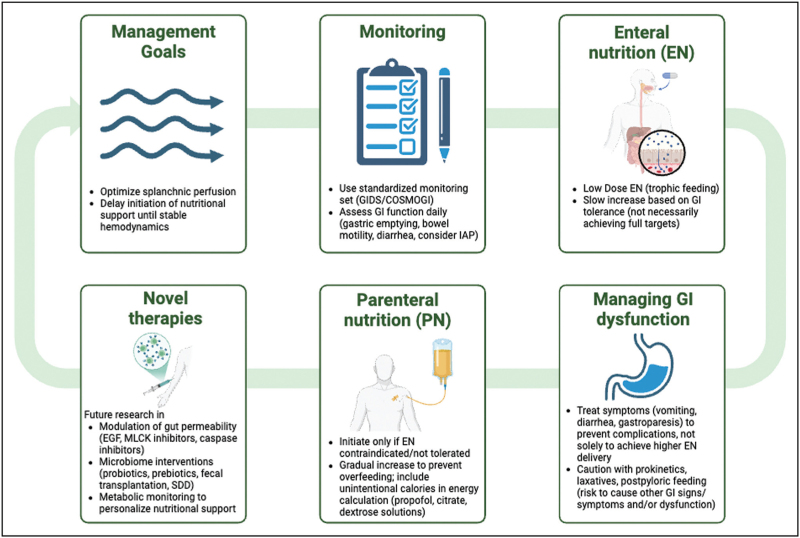 Gastrointestinal function and nutritional interventions in septic shock.