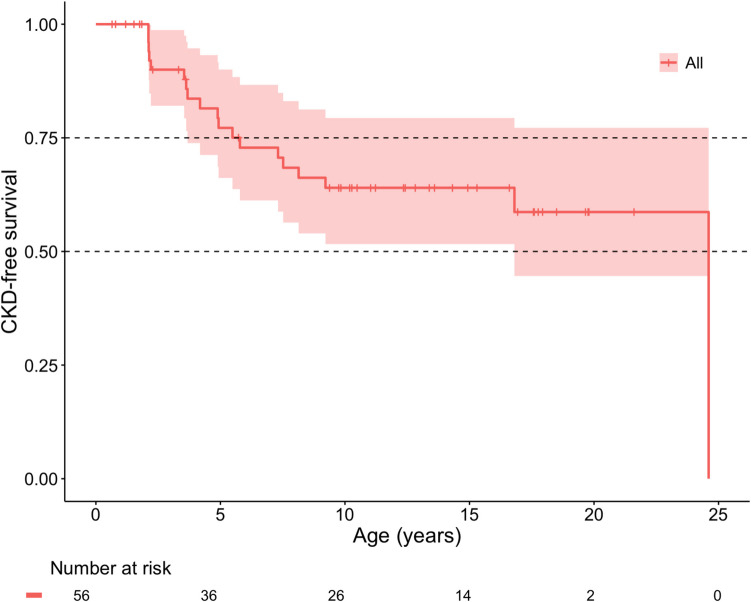 Long-term kidney outcomes in patients with Kabuki syndrome.