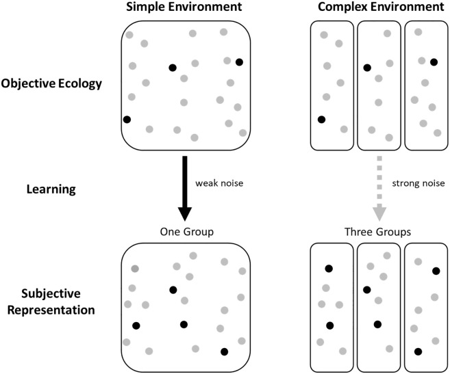 Attitude Formation in More- and Less-Complex Social Environments.