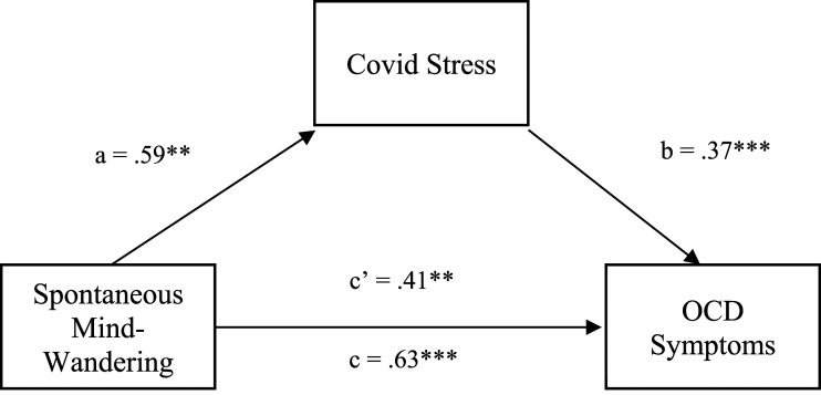 Mind-Wandering and Its Relationship With Psychological Wellbeing and Obsessive-Compulsive Symptomatology in the Context of Covid-19.