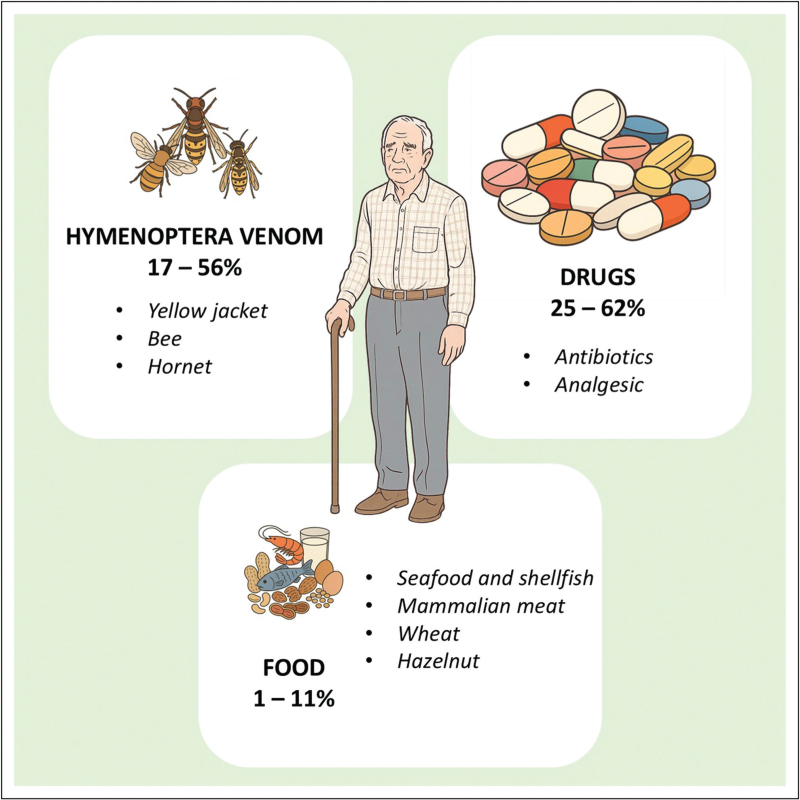 Age-dependent differences in anaphylaxis: elderly population.