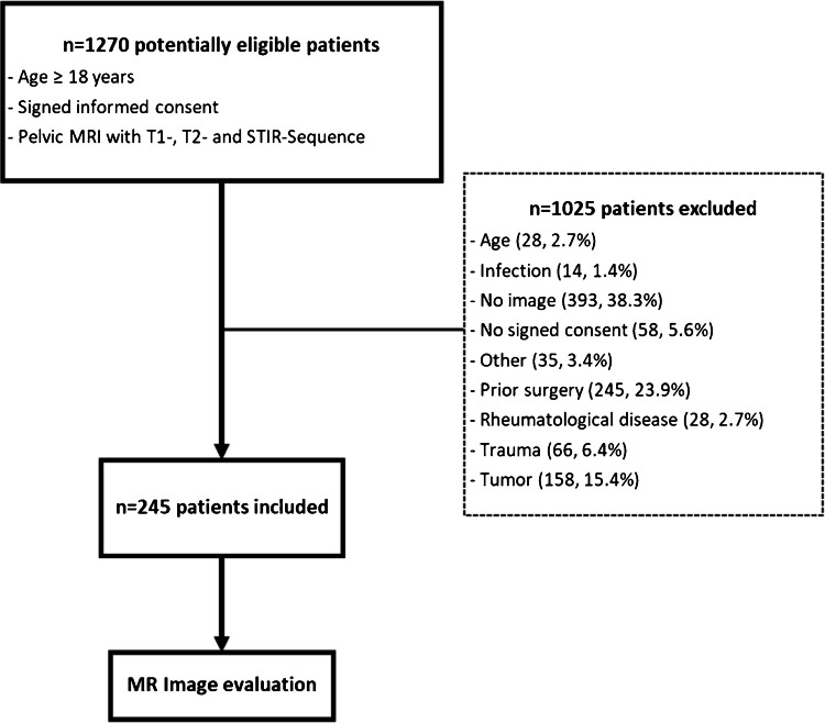 Prevalence and origin of prominent nutrient channels of the ilium bone on MR-imaging.