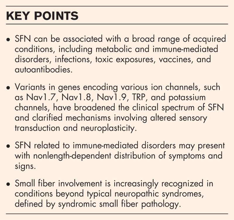 Small fiber neuropathy: expanding diagnosis with unsettled etiology.