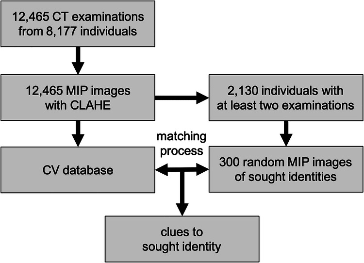 Computer vision-based personal identification using 2D maximum intensity projection CT images.