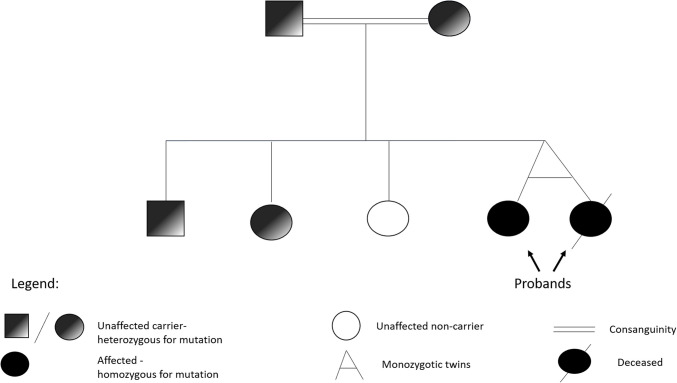Expanded CRB2-related disease phenotype: multisystem involvement and post-transplant complications in monozygotic twins.