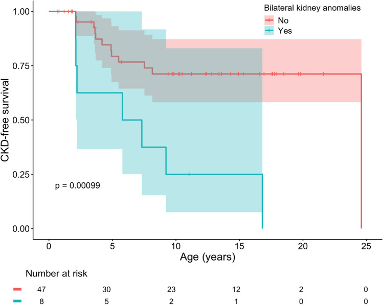 Long-term kidney outcomes in patients with Kabuki syndrome.