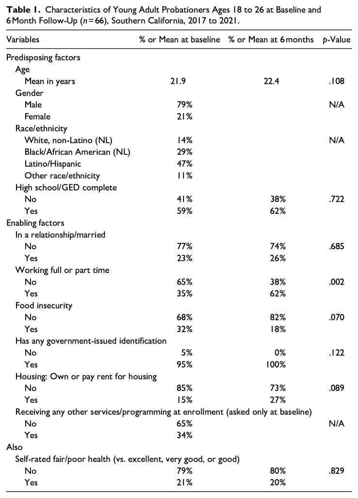 Access to Healthcare Among Young Adult Probationers Participating in a Pilot Health-Focused Reentry Program.