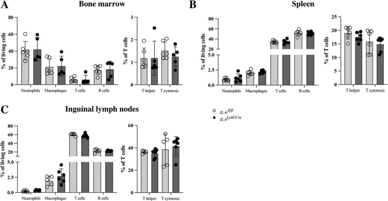 PHYSIOLOGICAL FRACTURE HEALING IS UNAFFECTED BY NEUTROPHIL-DERIVED IL-6 OR IL-6R SIGNALING IN MICE.