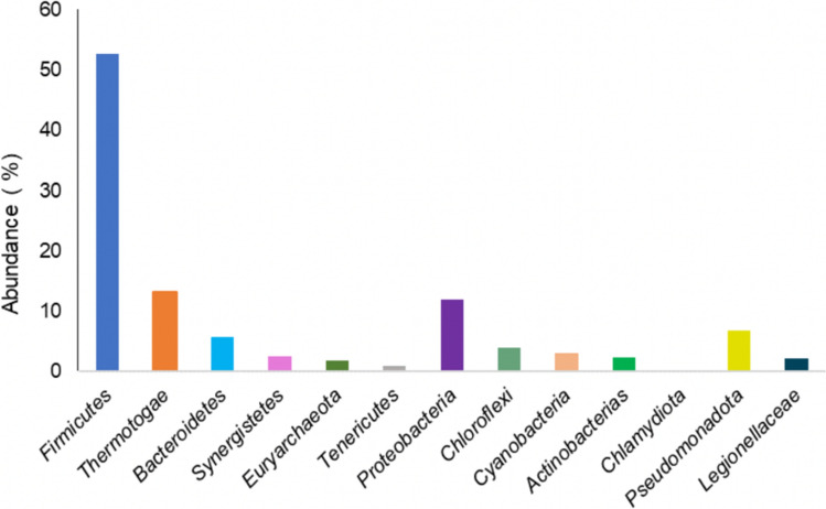 Valorization of digestates from organic solid waste as fertilizers, soil improvers, and agricultural prebiotics: panorama and perspectives.