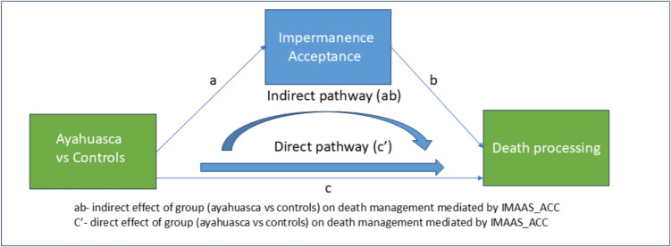 Embracing change: impermanence acceptance mediates differences in death processing between long-term ayahuasca users and non-users.