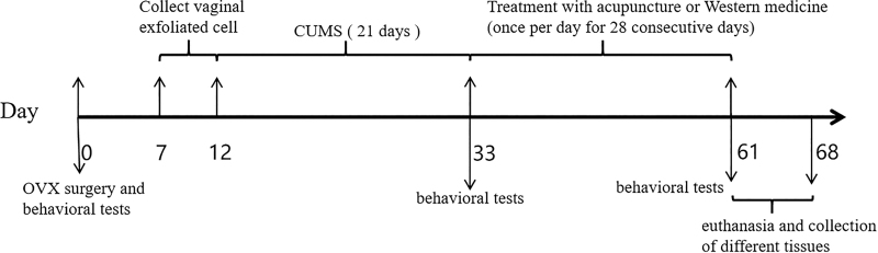 Acupuncture improves perimenopausal depression via a mechanism involving activation of the phosphatidylinositol 3-kinase/serine-threonine protein kinase/mechanistic target of rapamycin pathway in a rat model.