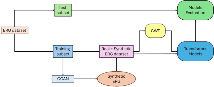 Synthetic electroretinogram signal generation using a conditional generative adversarial network.