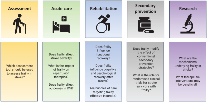 Frailty and stroke: Global implications for assessment, research, and clinical care-A WSO scientific statement.