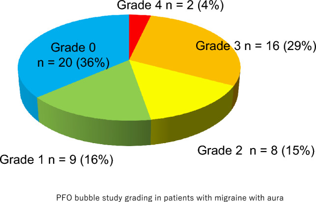 Efficacy of transcatheter patent foramen ovale closure for drug-resistant migraine: initial experience in Japan and long-term outcome.