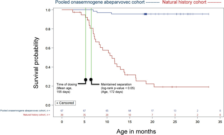 Early Intervention and Speed-to-Effect in Spinal Muscular Atrophy Type 1 Following Onasemnogene Abeparvovec Gene Replacement Therapy: Results of aPost-Hoc Analysis of Pooled Clinical Study Data.