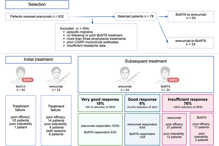 Sequential use of OnabotulinumtoxinA and Erenumab in Chronic Migraine: Retrospective Real-World Report on Bidirectional Switching.