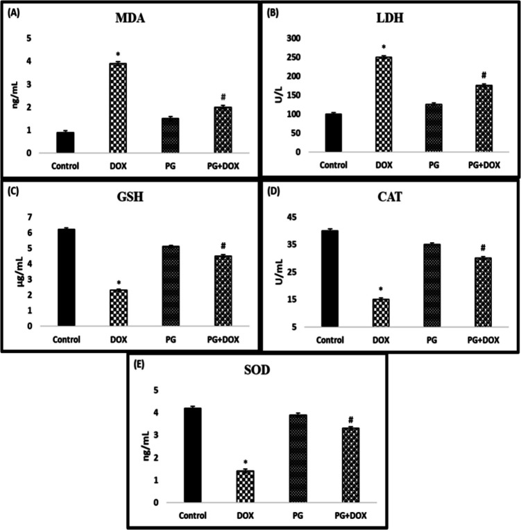Panax Ginseng Protects Against Doxorubicin-Induced Testicular Injury in Male Rats by Modulating NF-κB/COX-2 and AR Pathways.