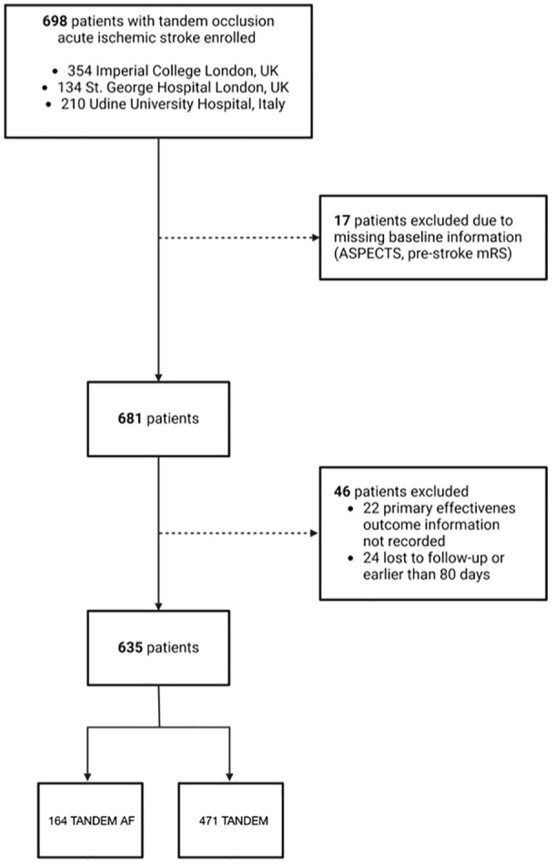 Impact of atrial fibrillation on outcomes in stroke patients with tandem occlusions treated with thrombectomy: A multicentre study.