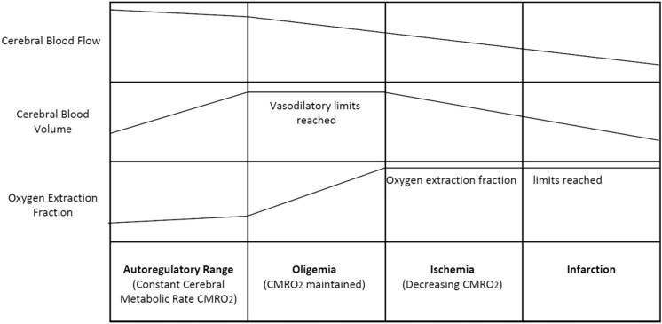 Advances in Ischemic Stroke Treatment: Current and Future Therapies.