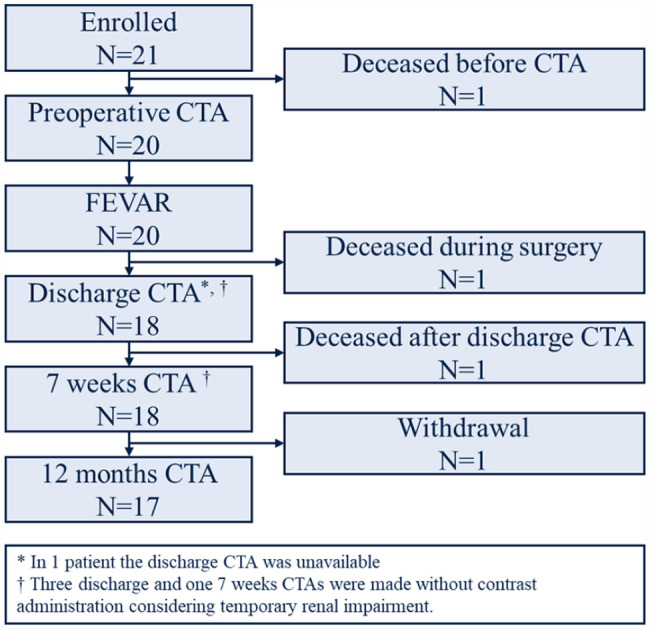 Renal and Visceral Artery Configuration During the First Year of Follow-Up After Fenestrated Aortic Aneurysm Repair Using the Anaconda Stent-graft: A Prospective Longitudinal Multicenter Study With ECG-Gated CTA Scans.