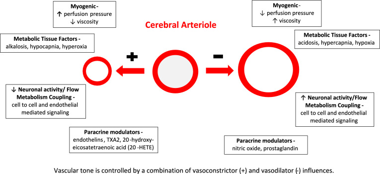 Advancing Understanding of Cerebrovascular Hemodynamic Perturbations in Pediatric Cerebral Malaria Using a Modified Critical Closing Pressure Evaluation- A Prospective, Observational Study.