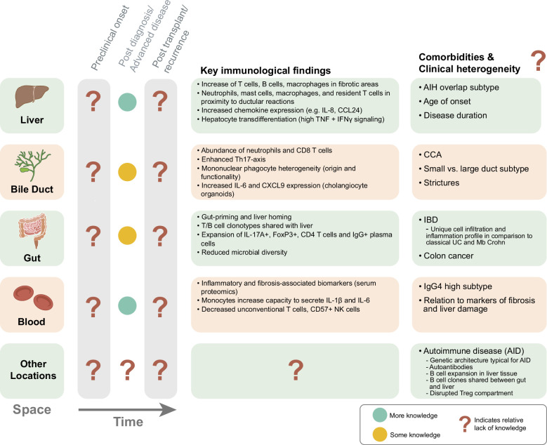 Immunobiology of primary sclerosing cholangitis.