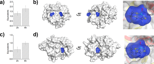 Correction to “Rhenium(V) Complexes as Cysteine-Targeting Coordinate Covalent Warheads”