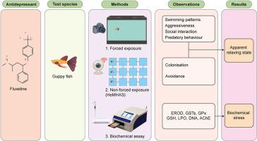 Behavioral and biochemical effects of fluoxetine on Poecilia reticulata: A relaxing state or an unapparent crisis?