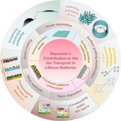 Separator’s Contribution to the Ion Transport in Lithium Batteries