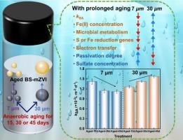 New insights into the influence mechanisms of particle size on the aging behavior and TCE removal of biogenic sulfidated mZVI in groundwater