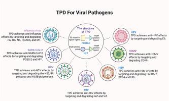 Antiviral strategies based on targeted protein degradation: an overview of the literature and future outlook