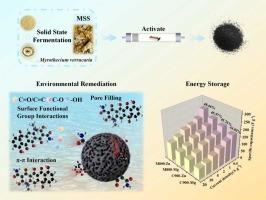 Microbial-assisted upcycling of agricultural waste into dual-functional porous carbon for synergistic tetracycline decontamination and sustainable energy storage