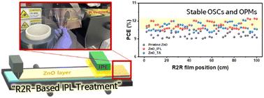Efficient roll-to-roll intense pulsed light treatment of ZnO layer for scalable flexible organic photovoltaics