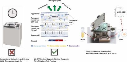 A Microfluidic Device Integrating Magnetic Stirring with Tangential Flow for High-Efficiency Isolation of Small Extracellular Vesicles