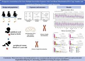 Prospective Associations of In Utero Exposure to Multiple Insecticides with Cord Blood Mitochondria DNA Copy Number and Longitudinal Offspring Telomere Length Shortening