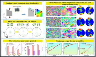 Grain orientation design via gradient strain path for enhanced strength-ductility synergy in AZ31 Magnesium alloy sheets