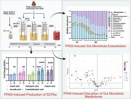 Per- and polyfluoroalkyl substances (PFAS) disrupt gut microbiome composition and metabolism in metabolic syndrome: Evidence from a host-free in vitro colonic model