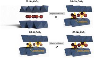 Revisiting the ion dynamics in LixCoO2 and NaxCoO2