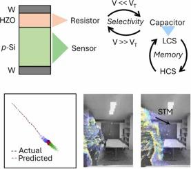 A neuromorphic photodetector with ferroelectric-controlled static, event, and short-term memory modes for on-chip real-time spatiotemporal classification and motion prediction