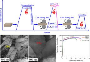 Influence of persistent effects of initial microstructure on the evolution of microstructure and mechanical properties in CoCrFeNi-based high entropy alloys
