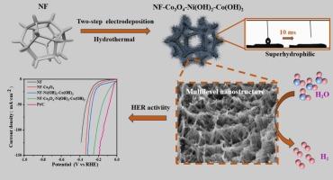 Multi-level high hydrophilicity nanostructure electrocatalyst to promote H2 removal for efficient hydrogen evolution reaction