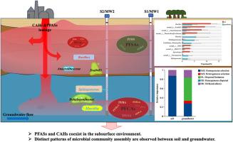 Effects of concurrent PFASs and CAHs on microbial communities in soil and groundwater: an insight for their ecological niches and implications for bioremediation