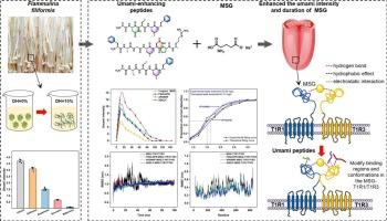 Discovering of novel umami-enhancing peptides from Flammulina filiformis: Combining virtual screening, machine learning, molecular dynamics simulations, and sensory evaluation