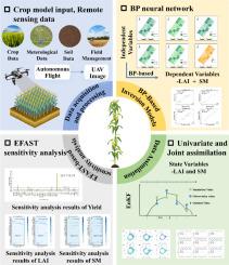 Improvement of crop growth simulations under different drip irrigation modes by jointly assimilating UAV multimodal data into crop models