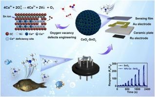 Engineering oxygen vacancy defects on a CeO2-SnO2 micro-nano heterostructure for rapid triethylamine detection and fish freshness monitoring