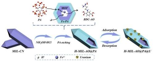 Phytic acid-mediated construction of hollow metal-organic framework nanorods with dual amidoxime and phosphate functionalities for uranium adsorption