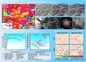 Synergistic effects of interstitial elements and TiB to overcome strength-ductility trade-off in titanium matrix composites