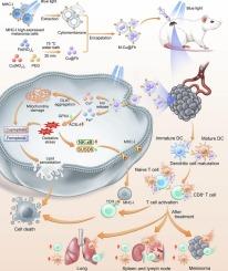 Melanoma MHC-I-membrane-encapsulated Cu@ferrihydrite induces ferroptosis/cuproptosis and systematic immunity against tumor