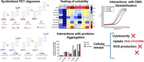Size and end-group chemistry of linear polyethylene terephthalate oligomers matter in chemical risk assessment