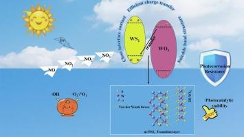 In-situ formation of WO3/WS2 heterojunction for an efficient and stable NO abatement under visible light
